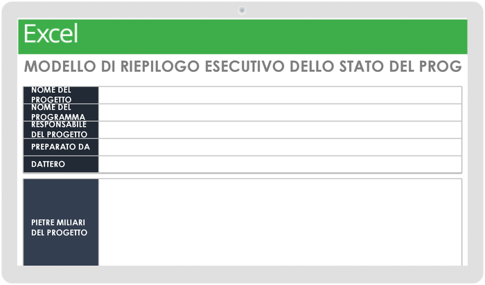 Riepilogo esecutivo dello stato del progetto